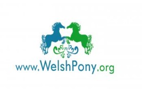 Welsh Pony & Cob Society of America entry by contrast8
