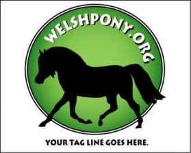 Welsh Pony & Cob Society of America entry by ArtMachine