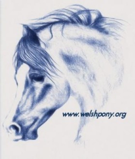 Welsh Pony & Cob Society of America entry by monica