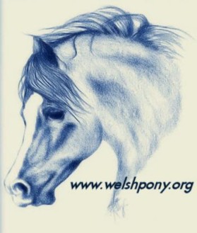 Welsh Pony & Cob Society of America entry by monica