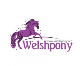 Welsh Pony & Cob Society of America entry by maadezine