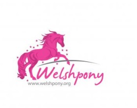 Welsh Pony & Cob Society of America entry by maadezine