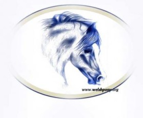 Welsh Pony & Cob Society of America entry by monica