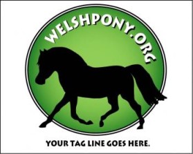 Welsh Pony & Cob Society of America entry by ArtMachine