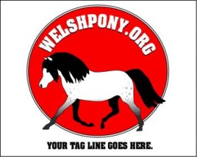 Welsh Pony & Cob Society of America entry by ArtMachine