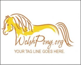 Welsh Pony & Cob Society of America entry by ArtMachine
