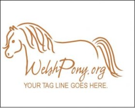 Welsh Pony & Cob Society of America entry by ArtMachine