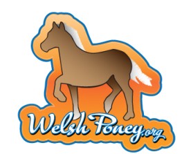 Logo Design entry 58364 submitted by nvdesigns
