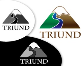 Triund Management Corporation entry by andra121