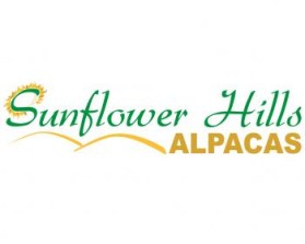 Sunflower Hills Alpacas entry by Judy Costigan