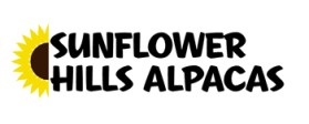 Sunflower Hills Alpacas entry by HORACIO HERRERA