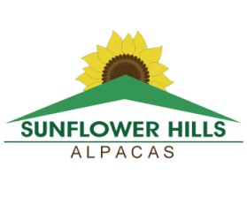 Sunflower Hills Alpacas entry by Paul Nicolae