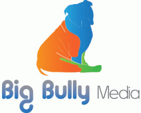 Big Bully Media  entry by Vis.d