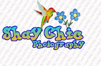 Logo Design entry 60235 submitted by Rutledge Concepts