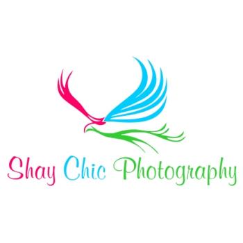 Logo Design entry 60281 submitted by doncip
