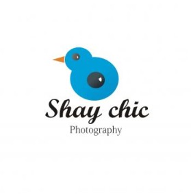 Logo Design entry 74951 submitted by contrast8