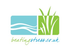 Logo Design entry 65956 submitted by aizen