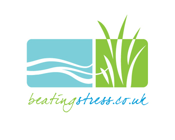 Logo Design entry 65956 submitted by aizen