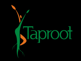 Logo Design entry 66401 submitted by dreamcomputers