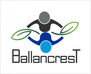 Logo Design entry 623132 submitted by bandhuji