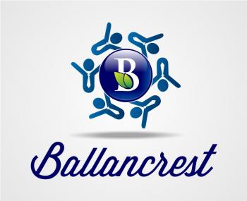 Logo Design entry 623133 submitted by bandhuji