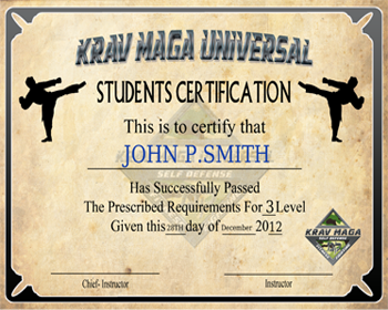 Graphic Design entry 628392 submitted by konzepto