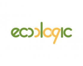 www.ecoactiveyou.com entry by christine