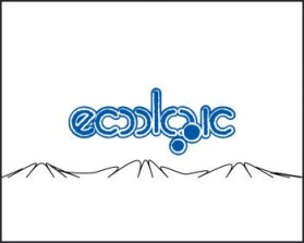 www.ecoactiveyou.com entry by christine