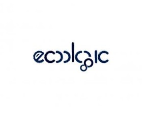 www.ecoactiveyou.com entry by christine