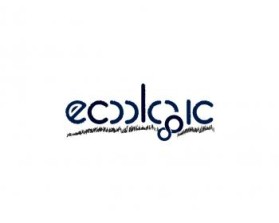 www.ecoactiveyou.com entry by christine