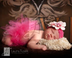 Laura Tusek Photography entry by Omee