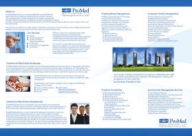 promedrealty.com entry by wirepaper