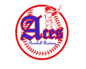 AcesBaseballAcademy.com entry by carlcy