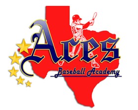 AcesBaseballAcademy.com entry by carlcy
