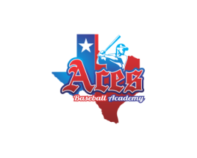 AcesBaseballAcademy.com entry by si9nzation