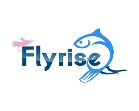 FLYRISE entry by an anonymous creative