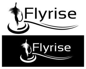 FLYRISE entry by Topala Bogdan Andrei