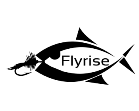 FLYRISE entry by Topala Bogdan Andrei