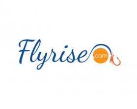 FLYRISE entry by Prasad Kotian