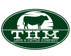 THM Land &amp; Cattle Company entry by buboy143