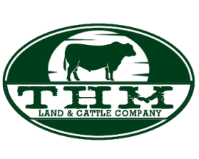 THM Land &amp; Cattle Company entry by buboy143