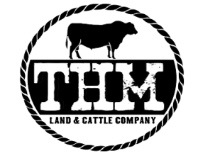 THM Land &amp; Cattle Company entry by buboy143