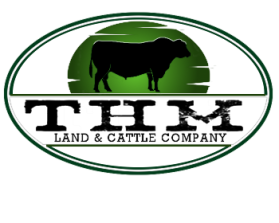 THM Land &amp; Cattle Company entry by buboy143