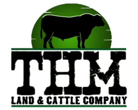 THM Land &amp; Cattle Company entry by buboy143