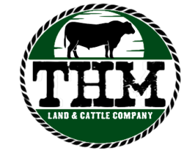 THM Land &amp; Cattle Company entry by buboy143