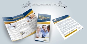 www.cantella.com entry by graphicshorse