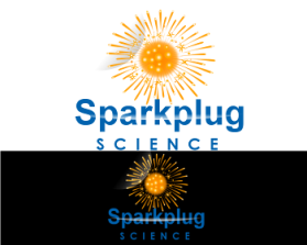 Logo Design entry 689783 submitted by buboy143