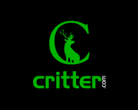 Critter.com entry by greycrow