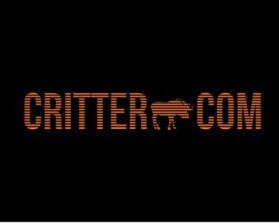 Critter.com entry by design66