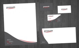 Prosum LLC entry by adyyy